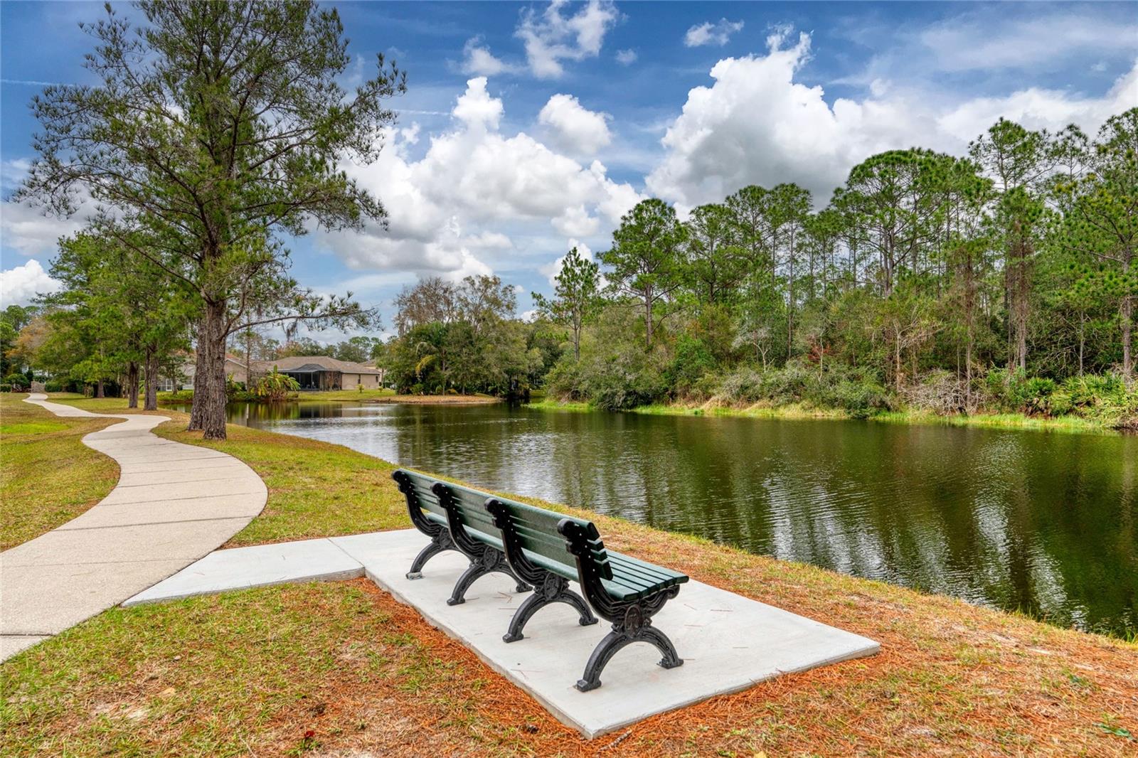 WINDSOR PARK AT THE EAGLES-FI - Residential