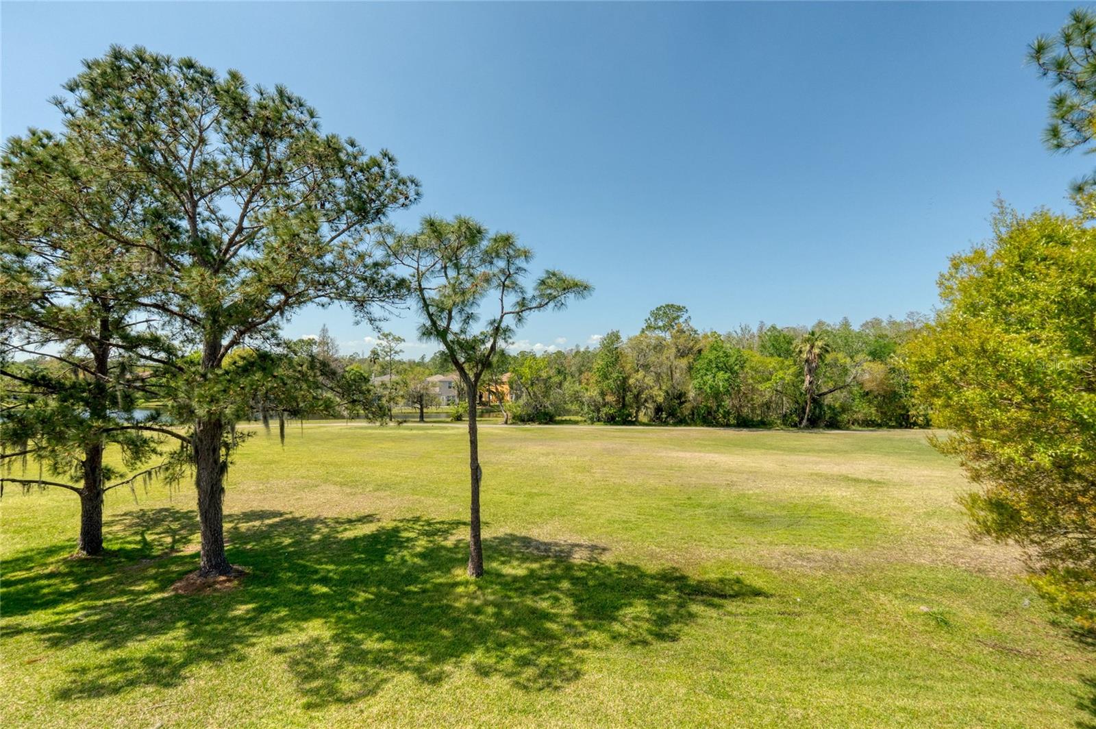 WINDSOR PARK AT THE EAGLES-FI - Residential