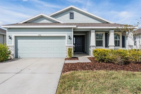 3742 MOSSY LIMB COURT PALMETTO FL 34221