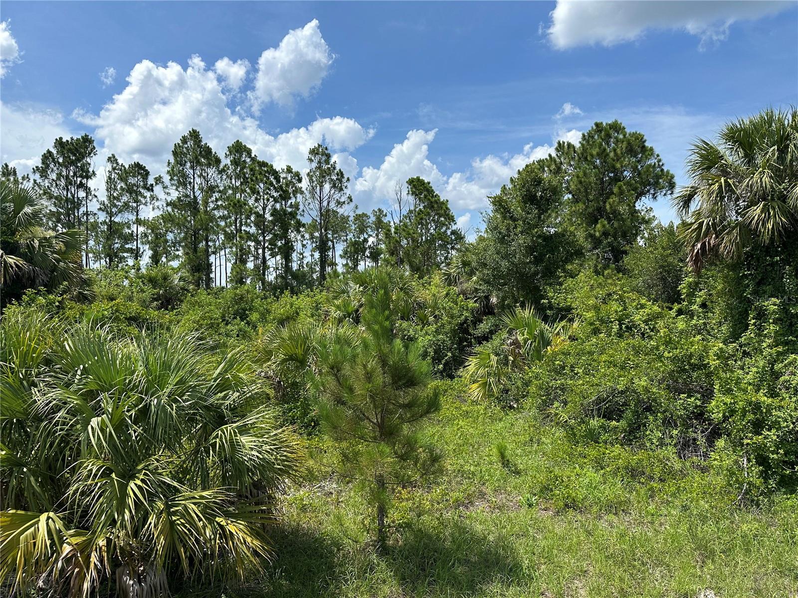 Lot 10 LANGLAIS DRIVE, NORTH PORT, FL, 34288 3 Lot 10 LANGLAIS DRIVE