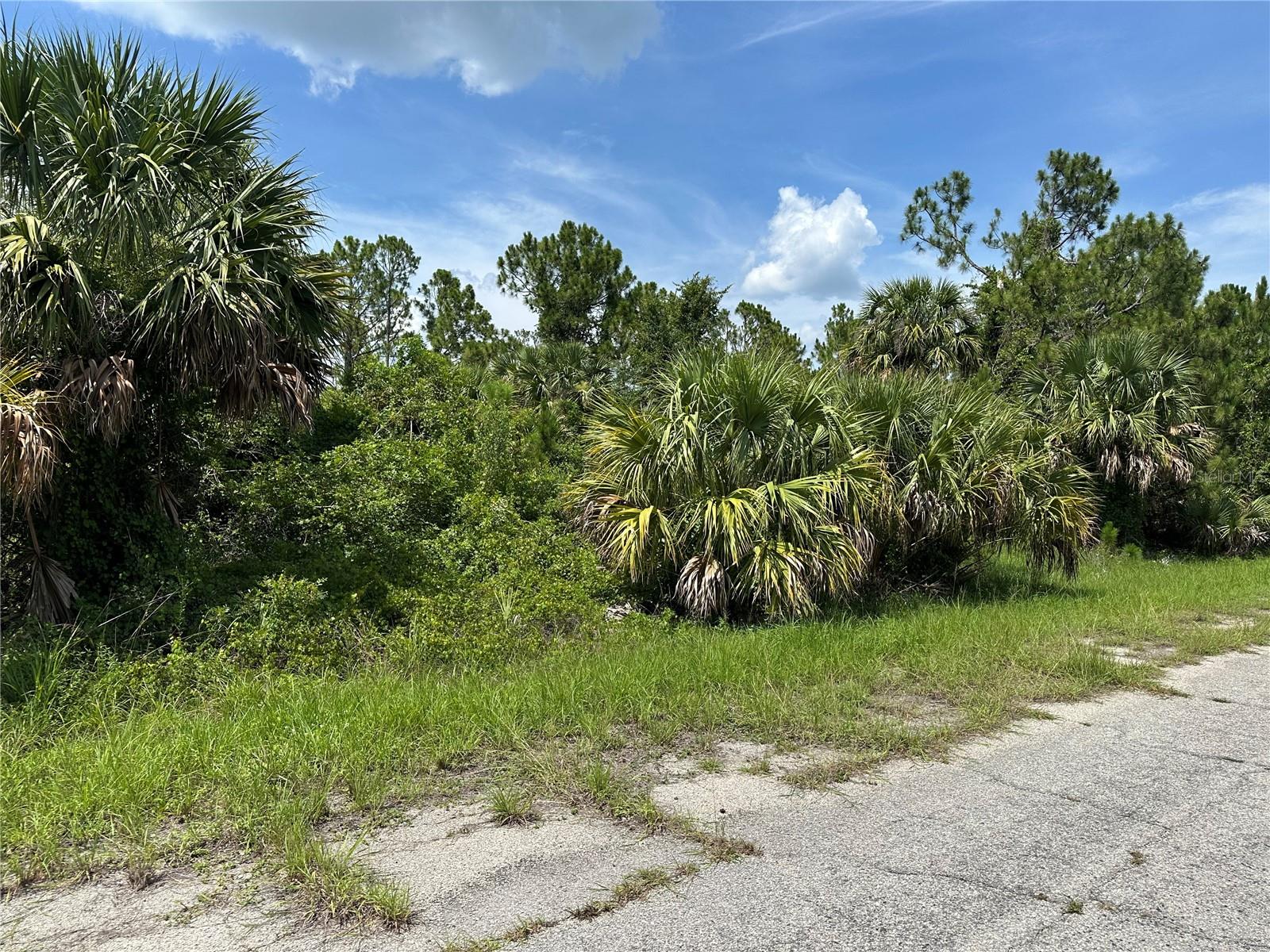 Lot 10 LANGLAIS DRIVE, NORTH PORT, FL, 34288 4 Lot 10 LANGLAIS DRIVE