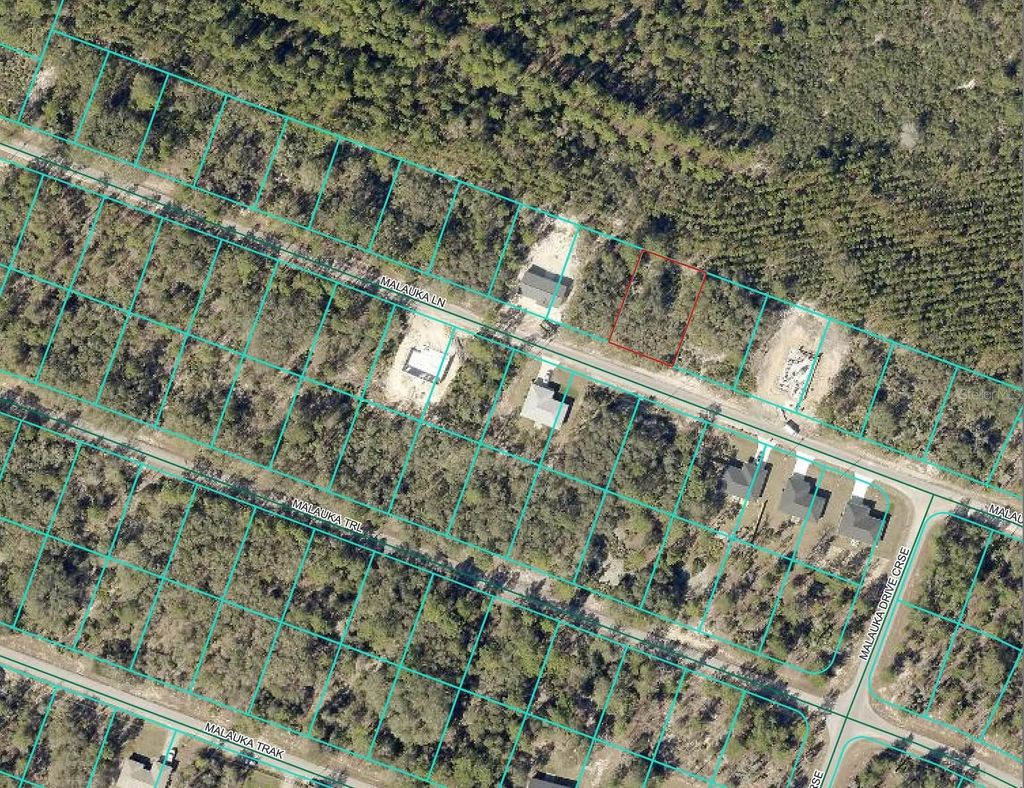 Photo of Malauka Lane, Ocklawaha, FL 32179 (MLS # O6337047)