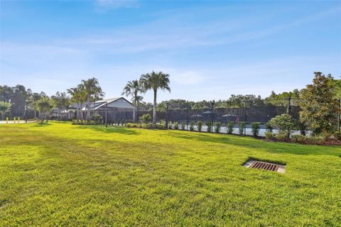 A home in TAMPA