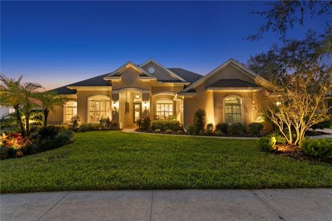 15817 SORAWATER DRIVE LITHIA FL 33547