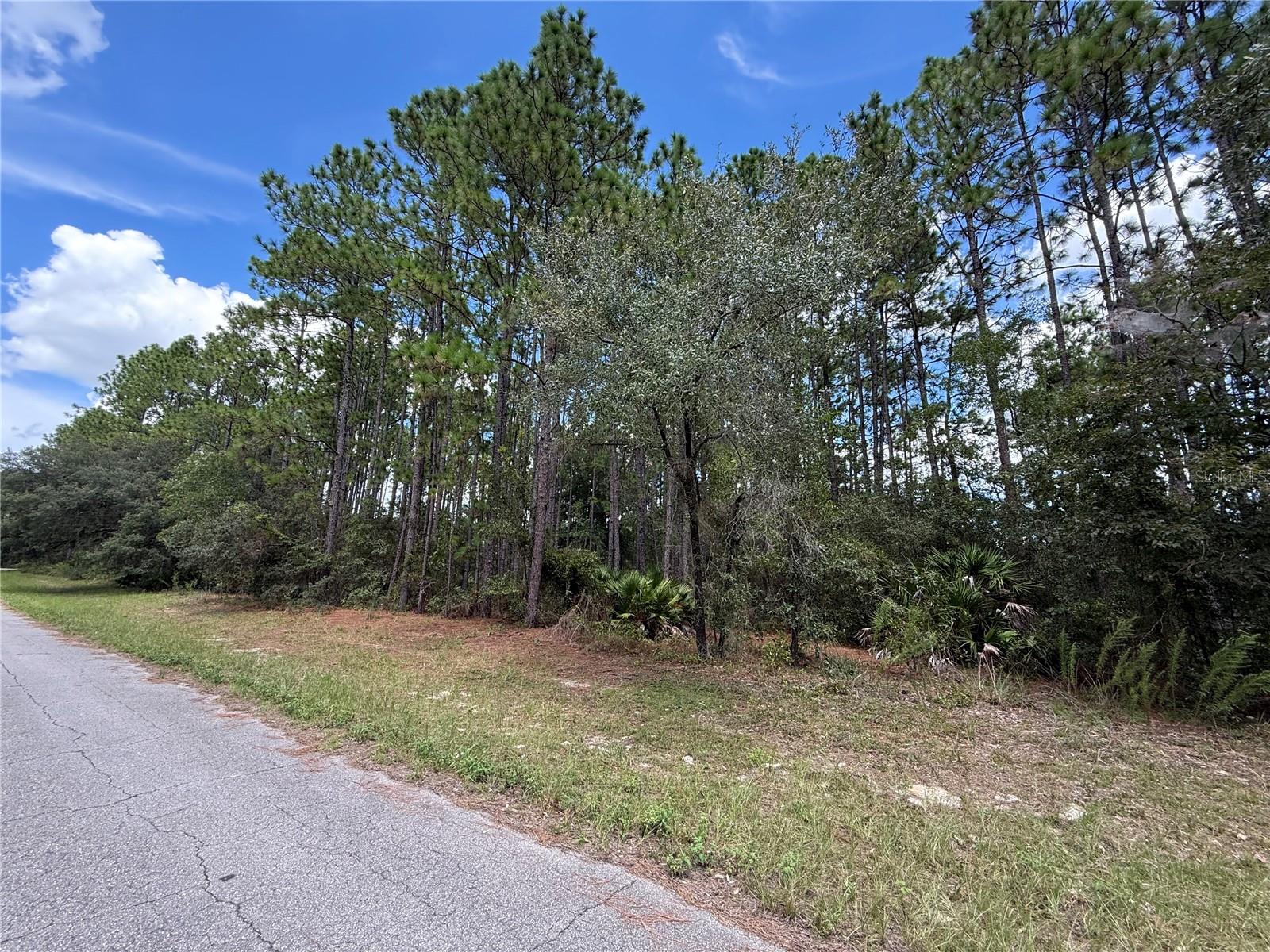 FEMA zone X and electric close!! UTILITY REPORT AVAILABLE. Discover Marion Oaks – One of Ocala’s Best Kept Secrets!
Looking for a community that combines affordability, convenience, and a true Florida lifestyle? Welcome to Marion Oaks, a well-established neighborhood in southwest Ocala offering spacious homesites, no HOA, and easy access to everything Central Florida has to offer.
Why Buyers Love Marion Oaks:
A wide variety of homes – from charming classics to modern new builds
Large lots and no HOA give you freedom and space
Convenient shopping & dining with Publix, Winn-Dixie, Walmart, and local favorites nearby. Convenience stores, banks, restaurants, shopping and more all within Marion Oaks community. There is also a fire station and a police station within the community.
Community center, library, parks, and playgrounds for family-friendly living
Quick access to I-75, The Villages, Orlando, Tampa, and Gainesville
Lifestyle & Outdoors:
Enjoy nature right at your doorstep with the Cross Florida Greenway, Ocala’s famous horse country, and countless springs and lakes for boating, kayaking, or fishing.
Education:
Families benefit from nearby schools within Marion Oaks.
Whether you’re searching for your first home, a place to retire, or an investment opportunity, Marion Oaks offers the perfect blend of value, lifestyle, and location.
