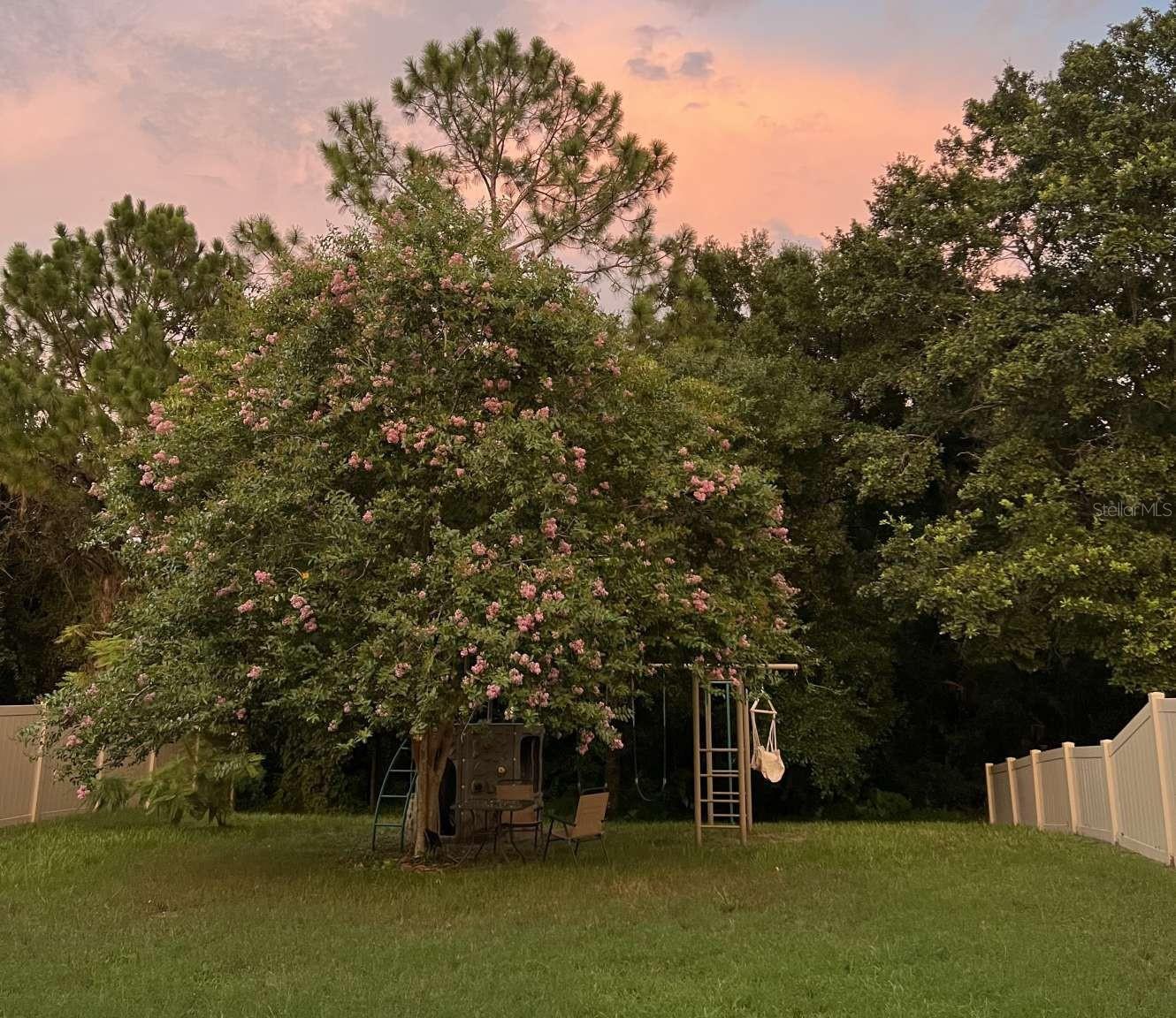 TRINITY EAST REP - Residential