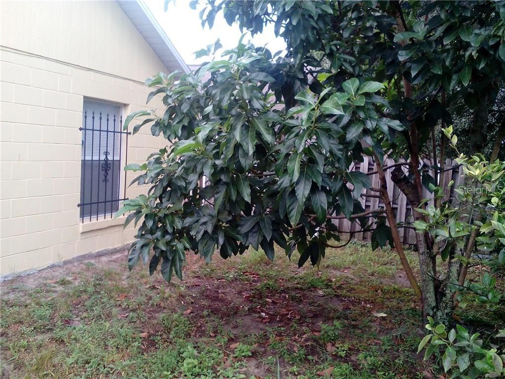 5633 PINEY RIDGE DRIVE