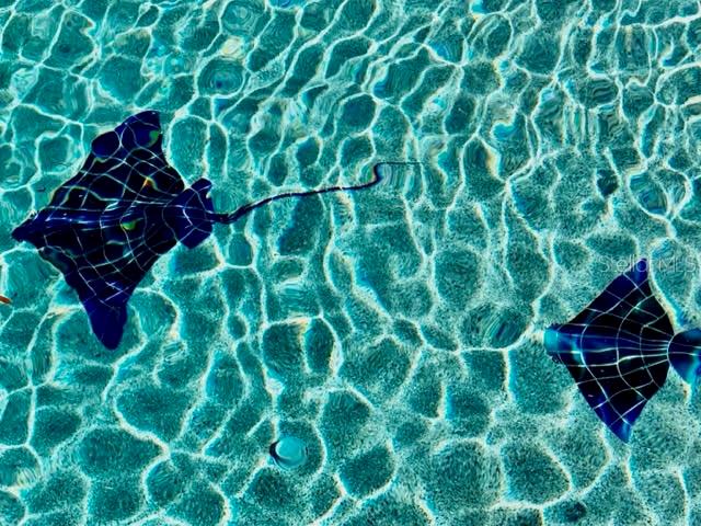 RUBY LAKE - Residential