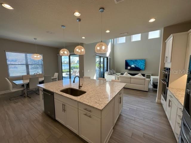 RUBY LAKE - Residential