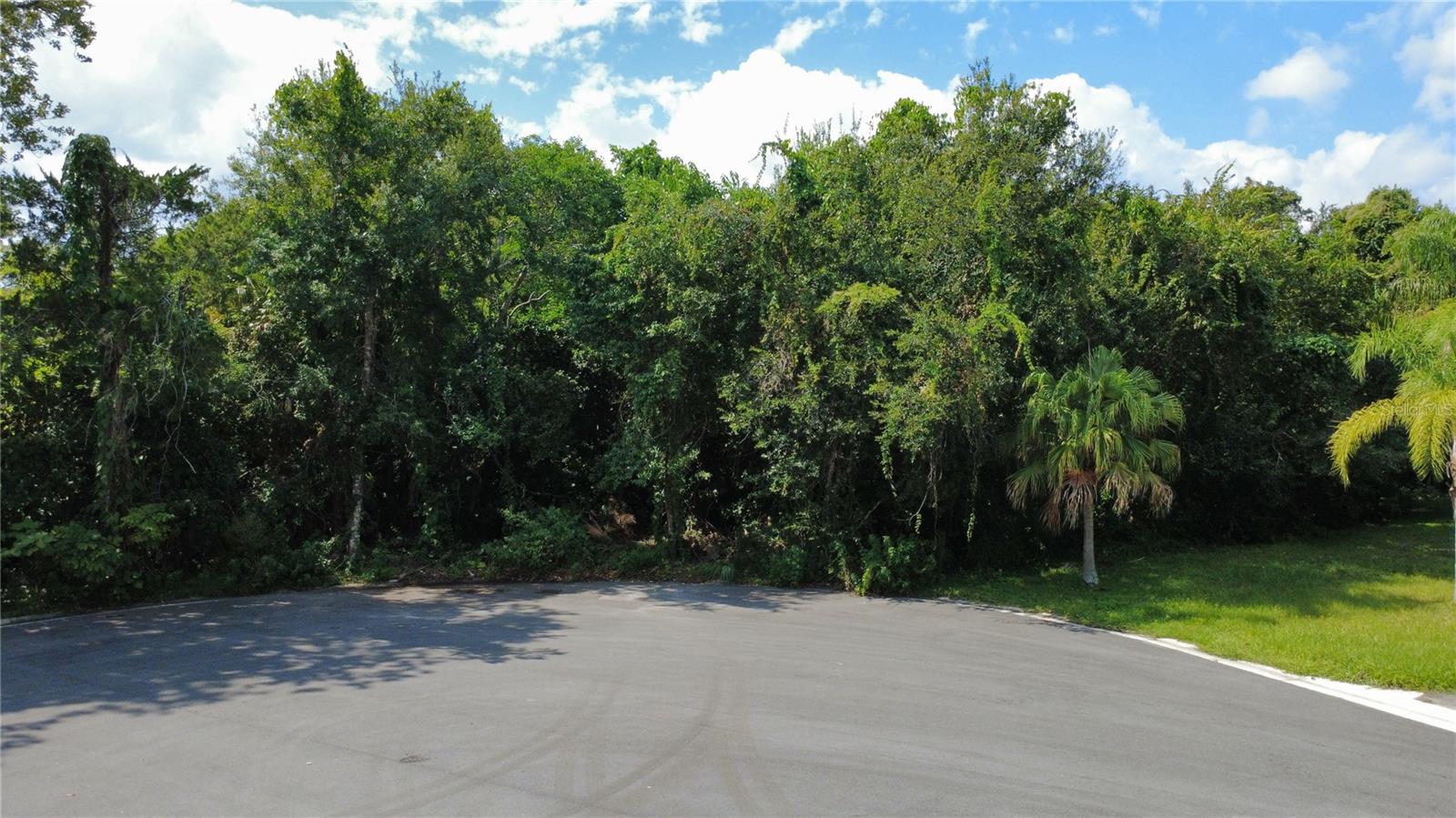 ROSE COURT REPLAT - Land