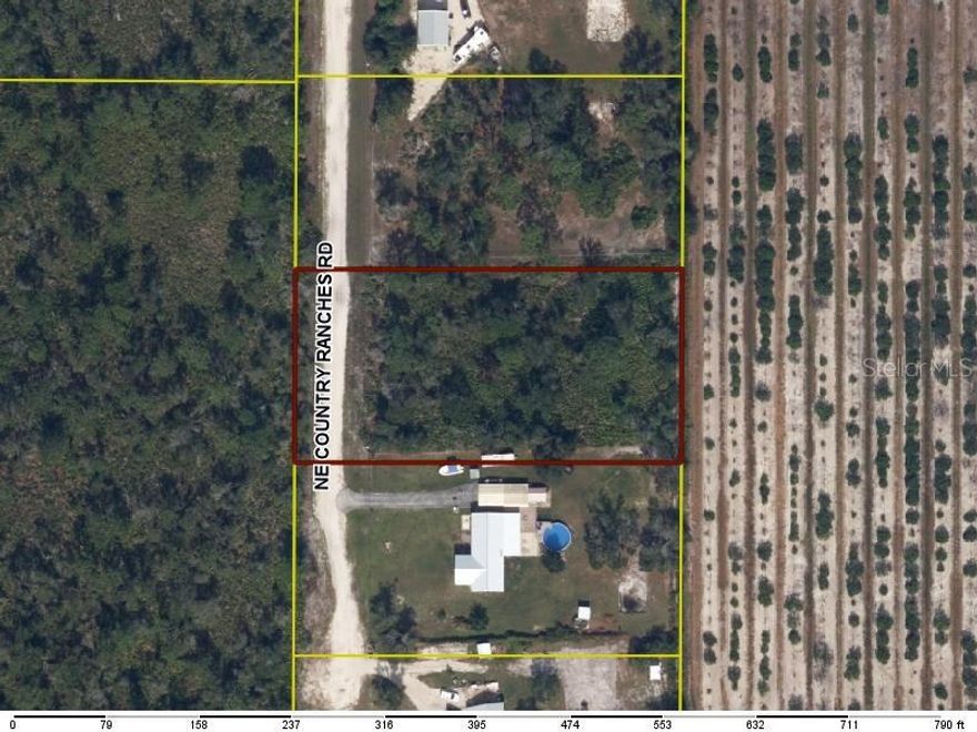 Discover the opportunity to build your Florida dream on 1.19 acres (51,836 square feet) at 5086 NE Country Ranches Road in Arcadia, Florida. This spacious homesite offers the privacy and flexibility many buyers are searching for, with no HOA restrictions and located in an X Flood Zone, meaning flood insurance is typically not required by lenders. Electricity is available nearby, making this parcel an excellent option for building a custom home, placing a manufactured home, or creating a private country retreat with room for gardens, animals, workshops, or recreational vehicles.

Located in the peaceful countryside of Arcadia in DeSoto County, this property provides the charm of Old Florida living while remaining close to everyday conveniences. The area is served by Memorial Elementary School, DeSoto Middle School, and DeSoto County High School, all within the DeSoto County School District. Grocery shopping and daily necessities are easily accessible with nearby stores including Publix Super Market, Winn-Dixie, and Walmart Supercenter in Arcadia and nearby Punta Gorda.

Outdoor enthusiasts will appreciate the proximity to some of Southwest Florida’s best recreational opportunities. Morgan Park and the Arcadia Dog Park offer green space for pets and families, while the scenic Peace River is well known for kayaking, fishing, fossil hunting, and boating. Additional boating access can be found at Harbor Heights Park Boat Ramp and nearby marinas along the Peace River and Charlotte Harbor.

Healthcare services are conveniently located with DeSoto Memorial Hospital in Arcadia, along with additional medical facilities including Fawcett Memorial Hospital and Bayfront Health Punta Gorda. Travel is also convenient with Arcadia Municipal Airport nearby for general aviation, as well as Punta Gorda Airport, Sarasota Bradenton International Airport, and Southwest Florida International Airport offering commercial flights.

This location provides easy access to major roadways including U.S. Highway 17, State Road 70, State Road 72, and State Road 31, allowing convenient travel throughout Southwest Florida. Nearby cities include Punta Gorda, Port Charlotte, North Port, Sarasota, and Fort Myers, offering beaches, shopping, dining, and entertainment while still allowing you to enjoy the peaceful lifestyle of rural Florida.

With 1.19 acres of land, no HOA restrictions, an X flood zone designation, and electricity available nearby, this property offers a rare opportunity to own land with both freedom and convenience in one of Southwest Florida’s charming countryside communities.