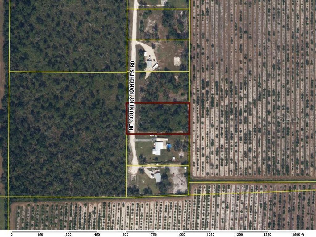 Photo of 5086 NE Country Ranches Road, Arcadia, FL 34266 (MLS # A4685005)
