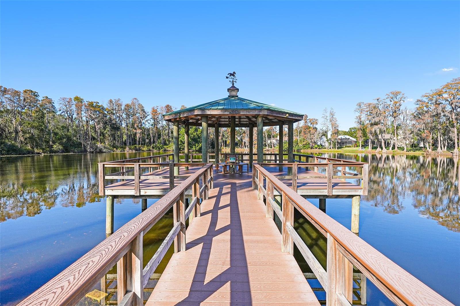 THE LAKES AT VAN DYKE FARMS - Residential