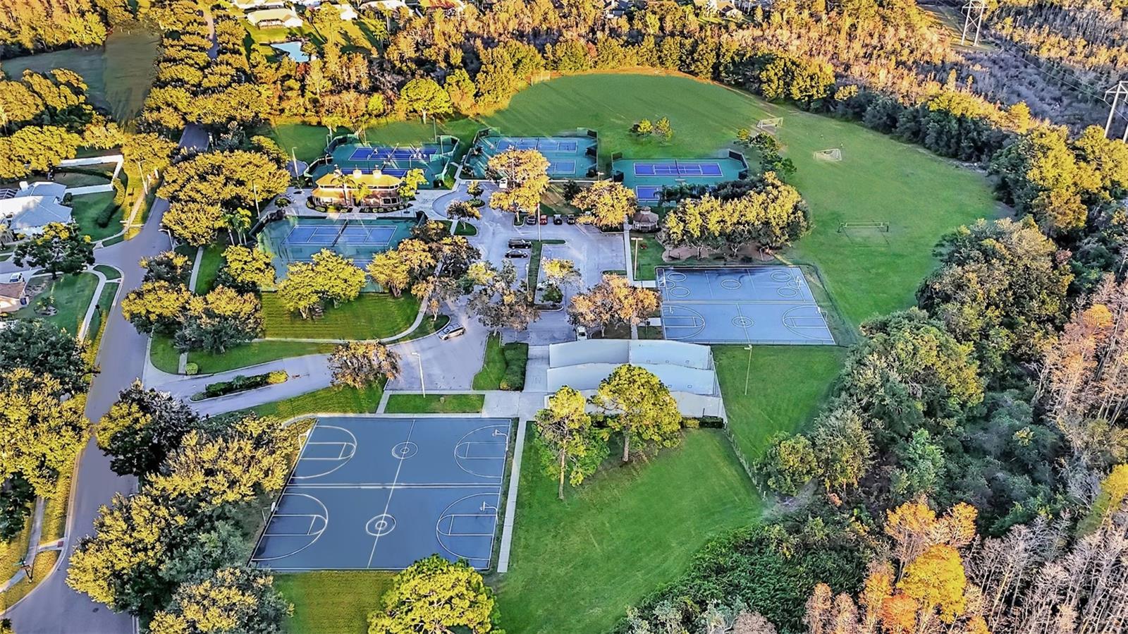 THE LAKES AT VAN DYKE FARMS - Residential