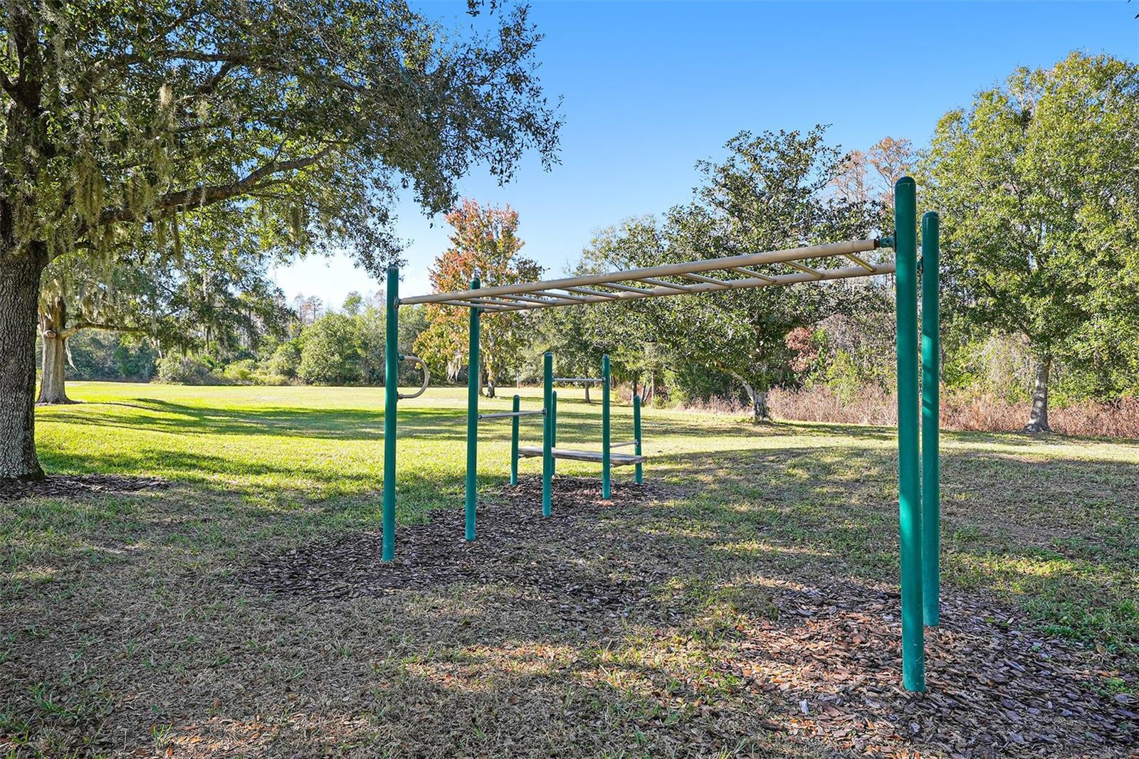 THE LAKES AT VAN DYKE FARMS - Residential