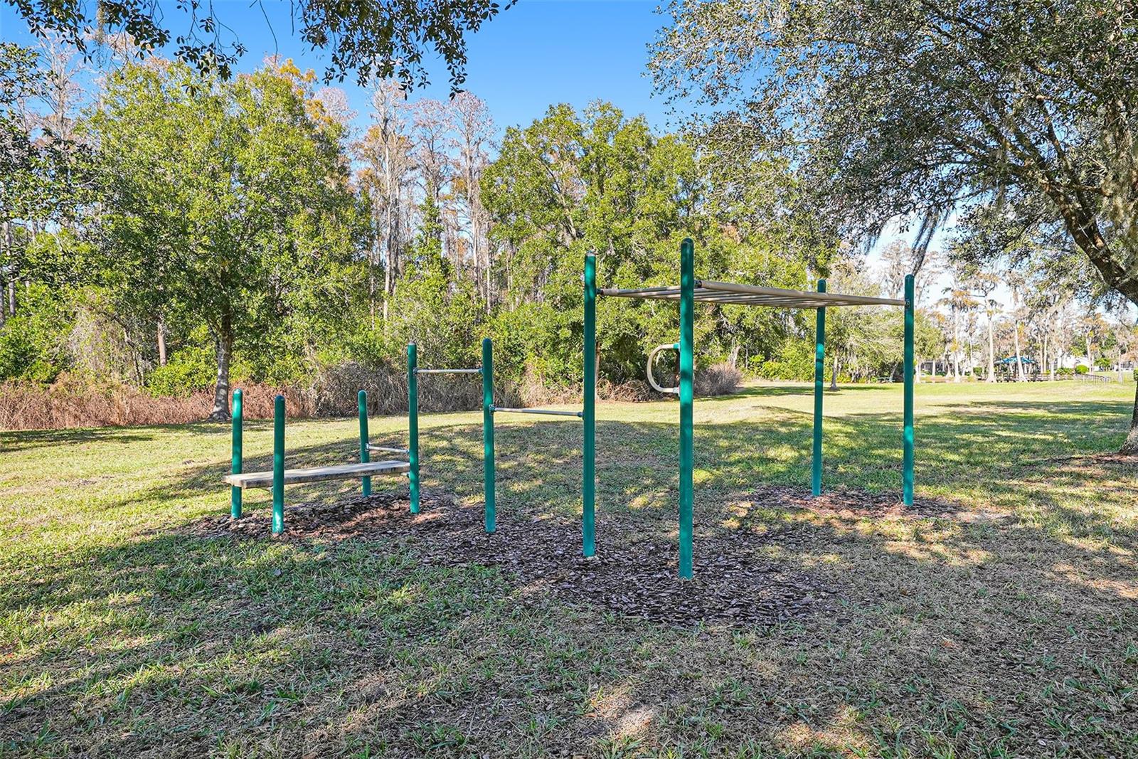 THE LAKES AT VAN DYKE FARMS - Residential