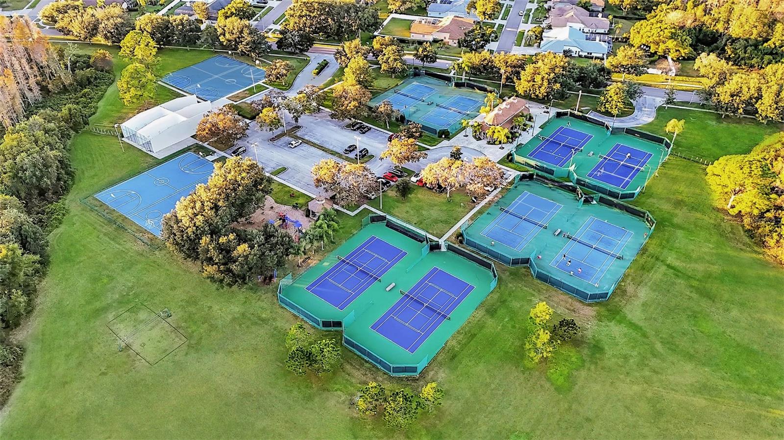 THE LAKES AT VAN DYKE FARMS - Residential