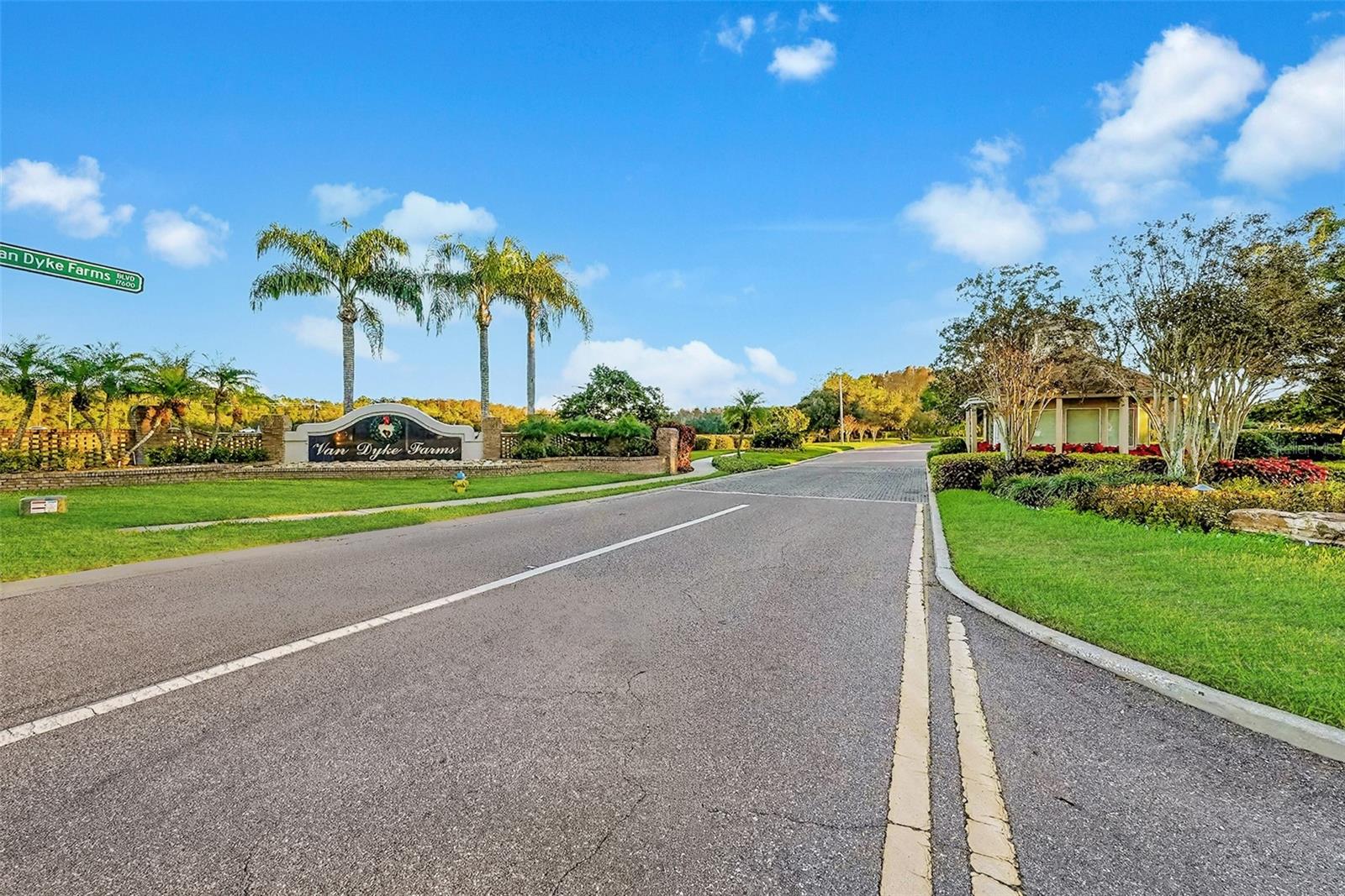 THE LAKES AT VAN DYKE FARMS - Residential
