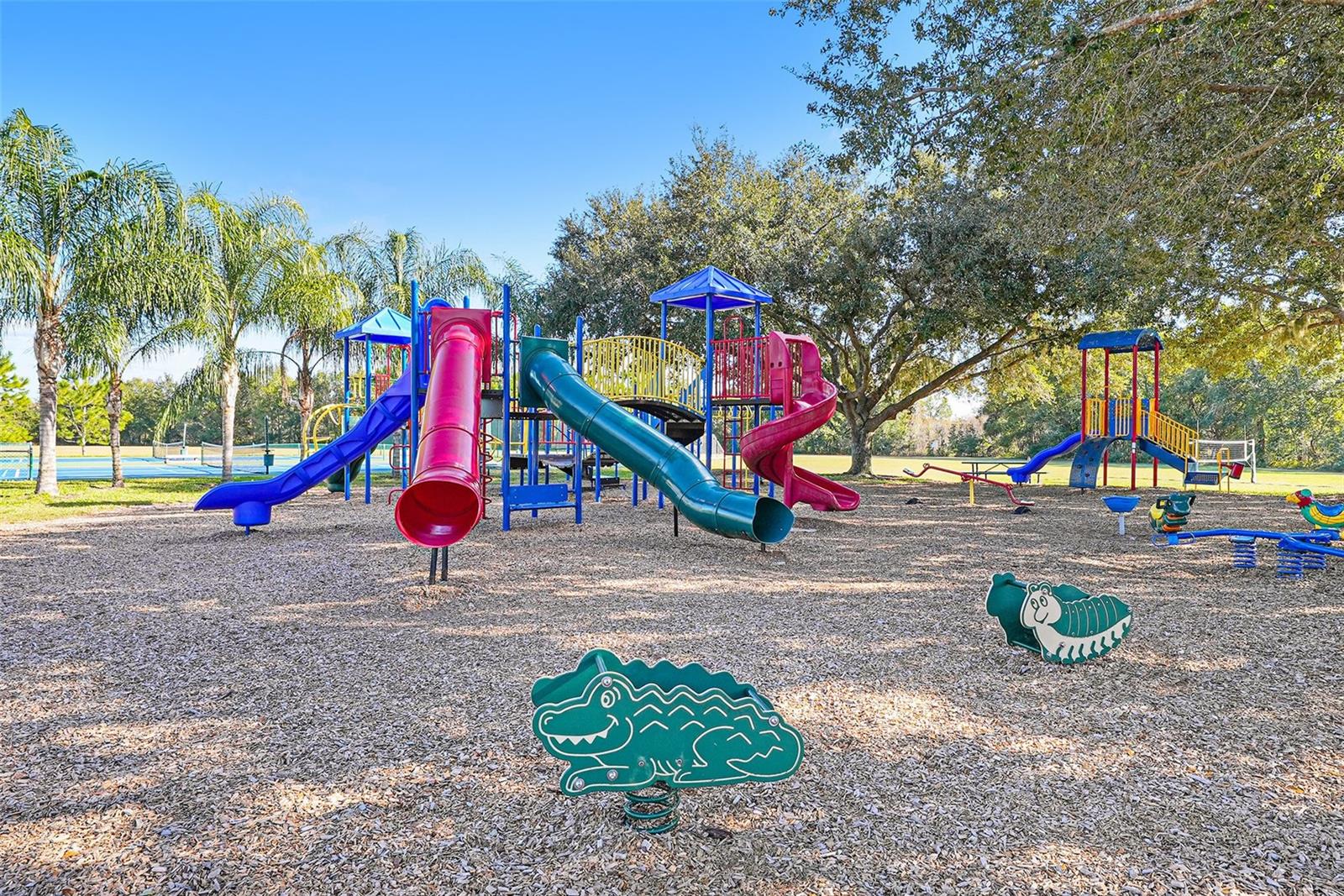 THE LAKES AT VAN DYKE FARMS - Residential