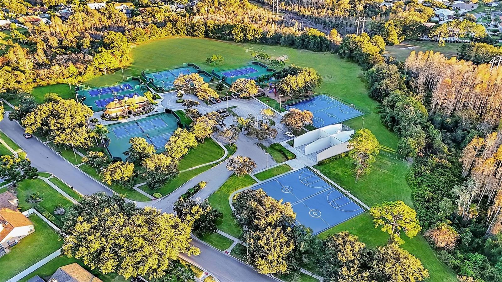 THE LAKES AT VAN DYKE FARMS - Residential