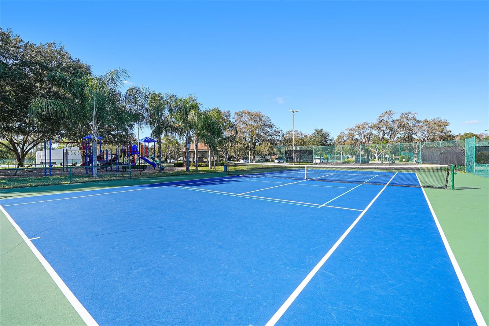 THE LAKES AT VAN DYKE FARMS - Residential