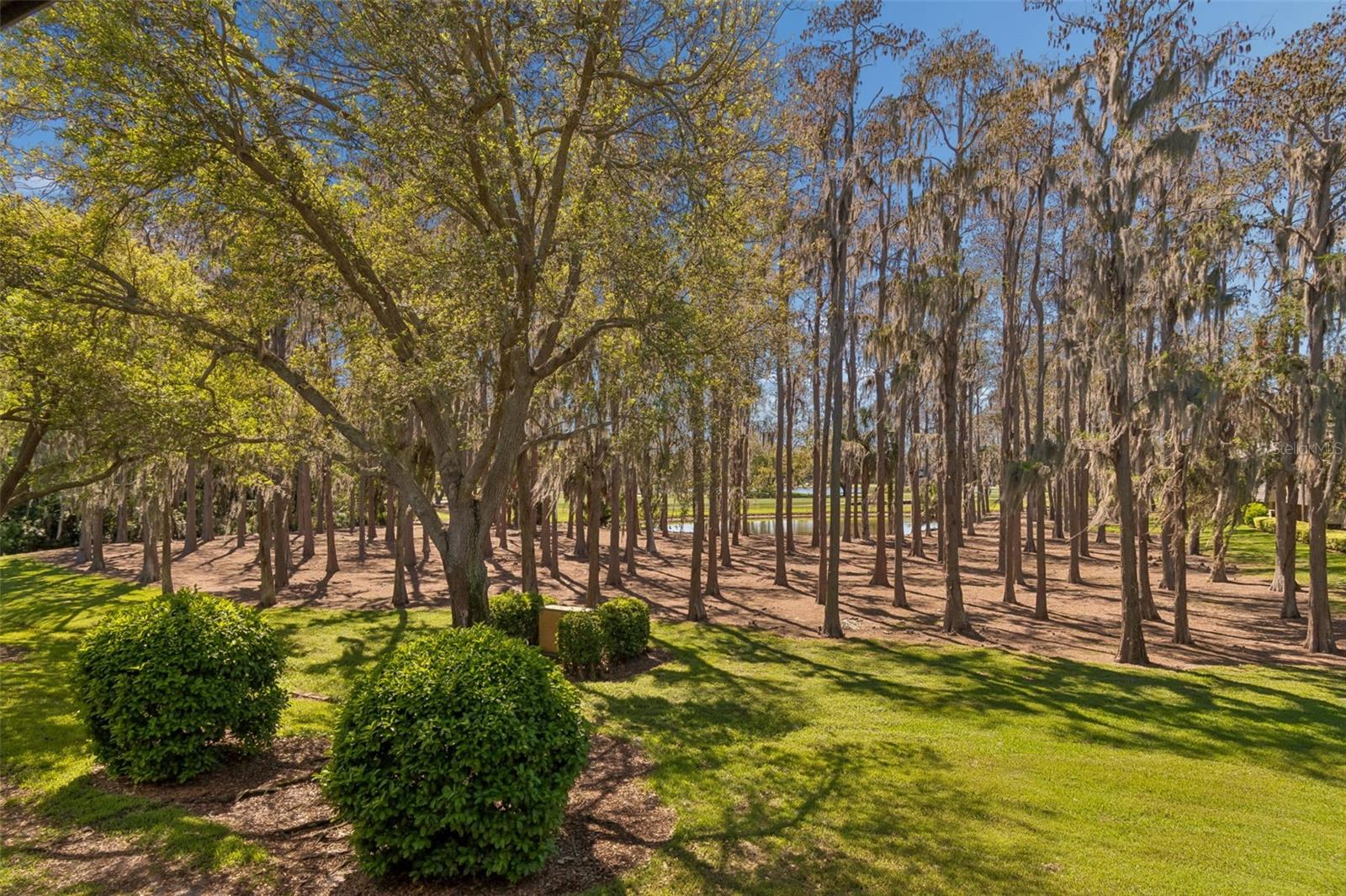 INNISBROOK 06 CONDO - Residential