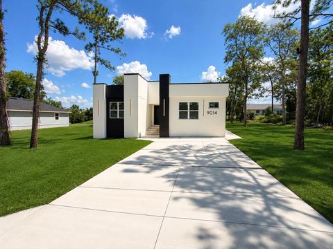 Photo of 9014 Waterbird Way, Brooksville, FL 34613 (MLS # TB8509835)
