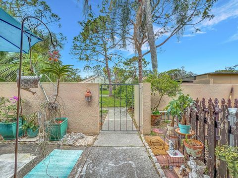 A home in SARASOTA