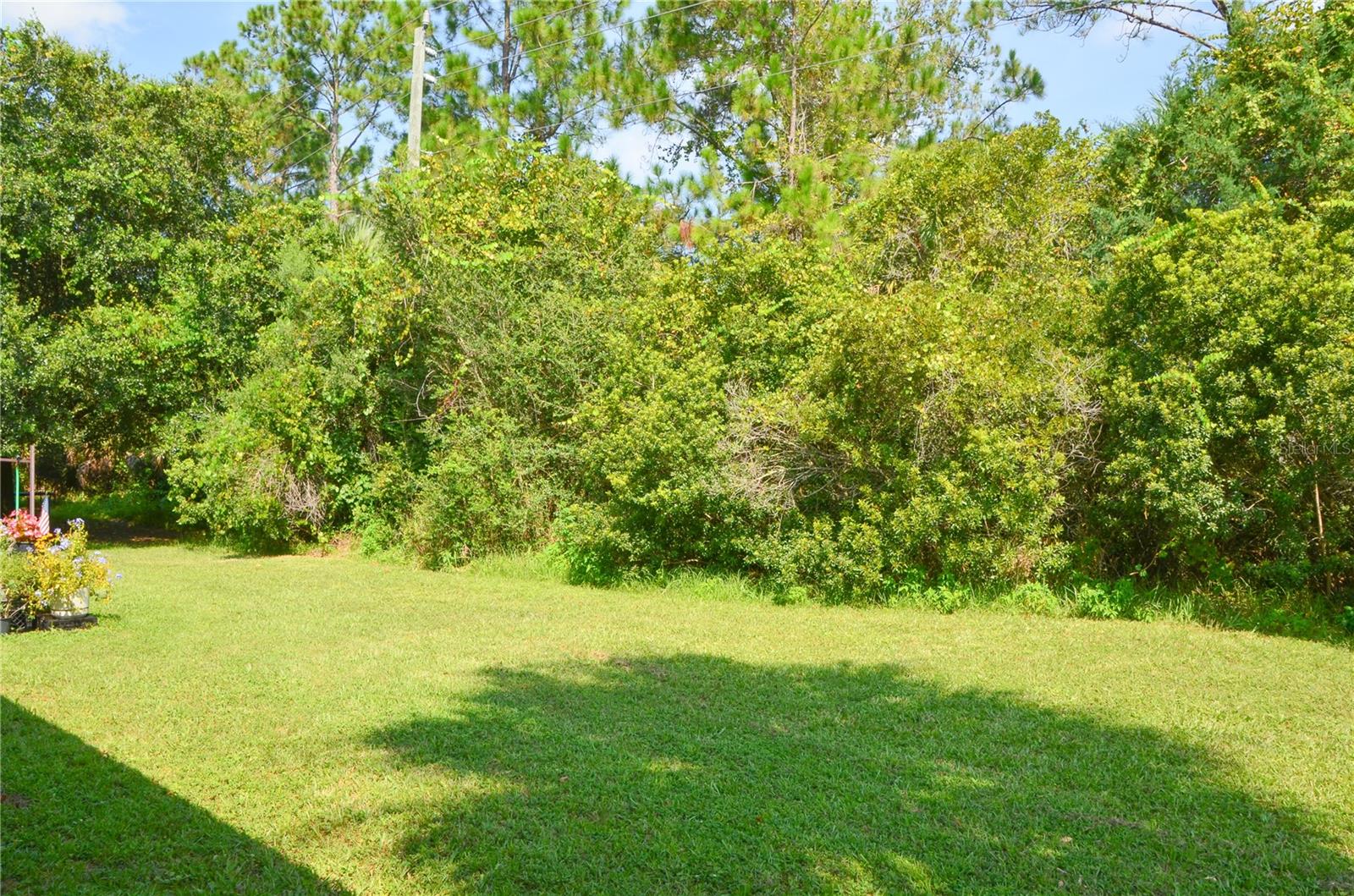 PINE GROVE - Residential Lease