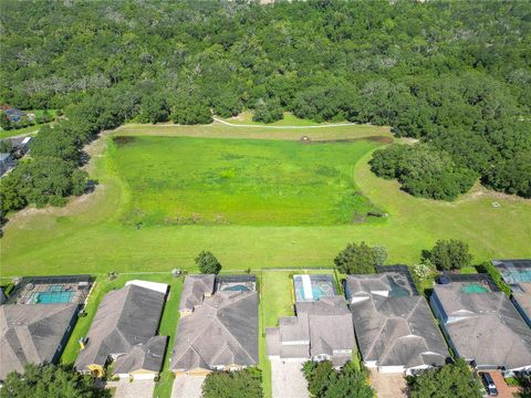 A home in LITHIA