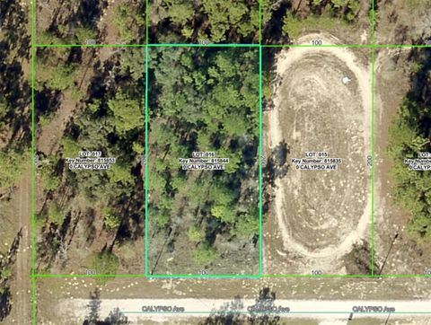 Lot 16 CALYPSO AVENUE BROOKSVILLE FL 34614