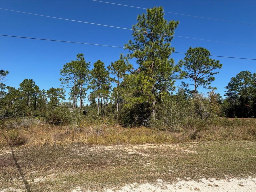 Photo of 16 Calypso Avenue, Brooksville, FL 34614 (MLS # W7881552)