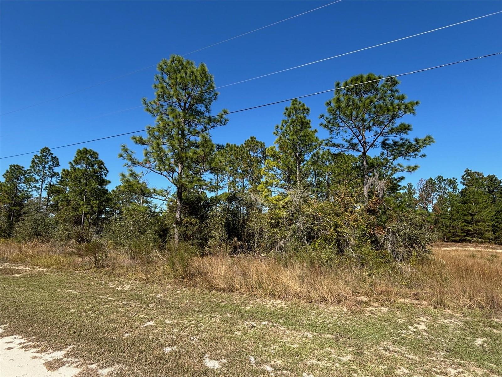 Lot 16 CALYPSO AVENUE