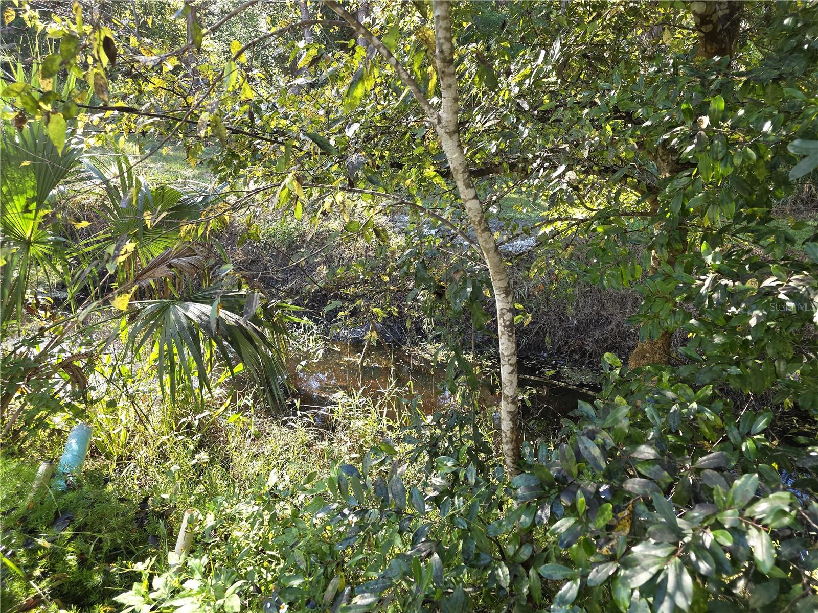 YORKTOWNE ESTATE CONDO - Residential