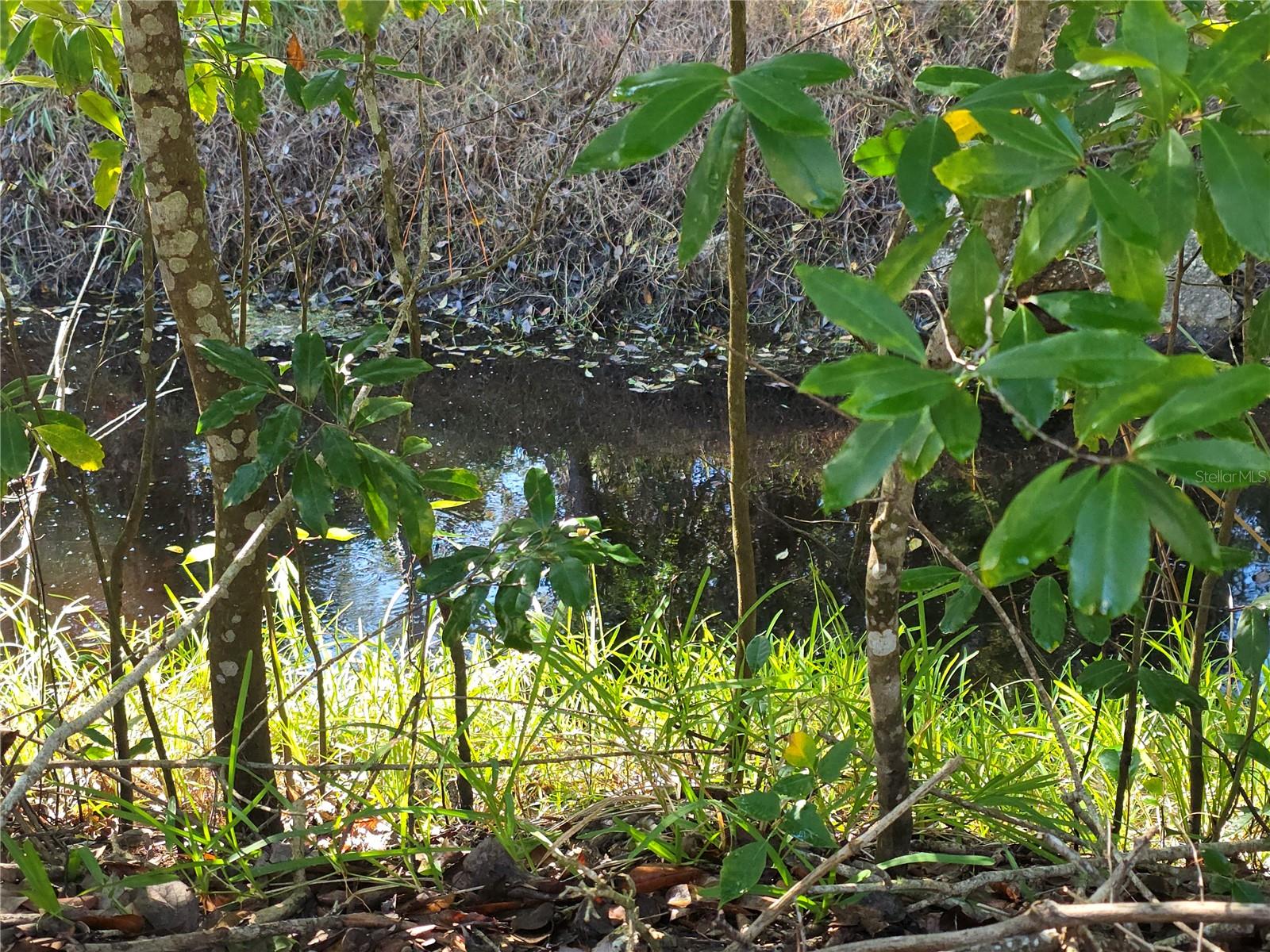 YORKTOWNE ESTATE CONDO - Residential