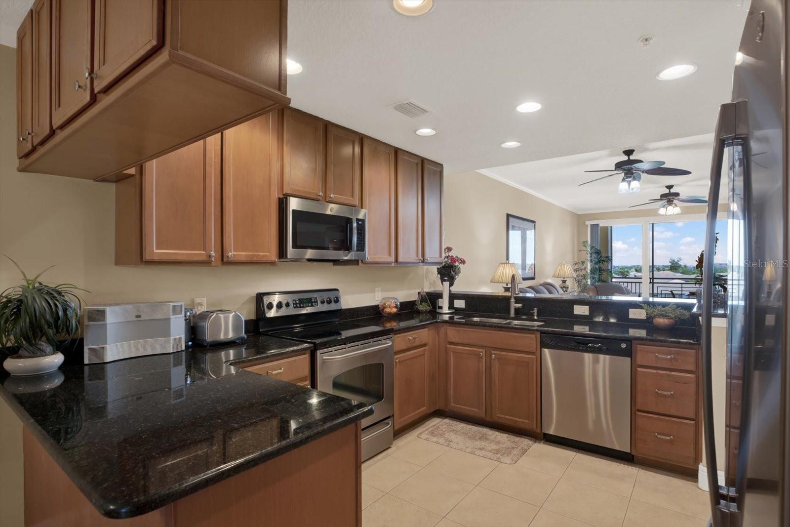 SEMINOLE ISLE CONDO - Residential