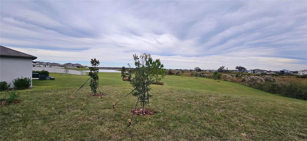 Photo of 8598 Parsons Hill Boulevard, Wesley Chapel, FL 33545 (MLS # O6375372)