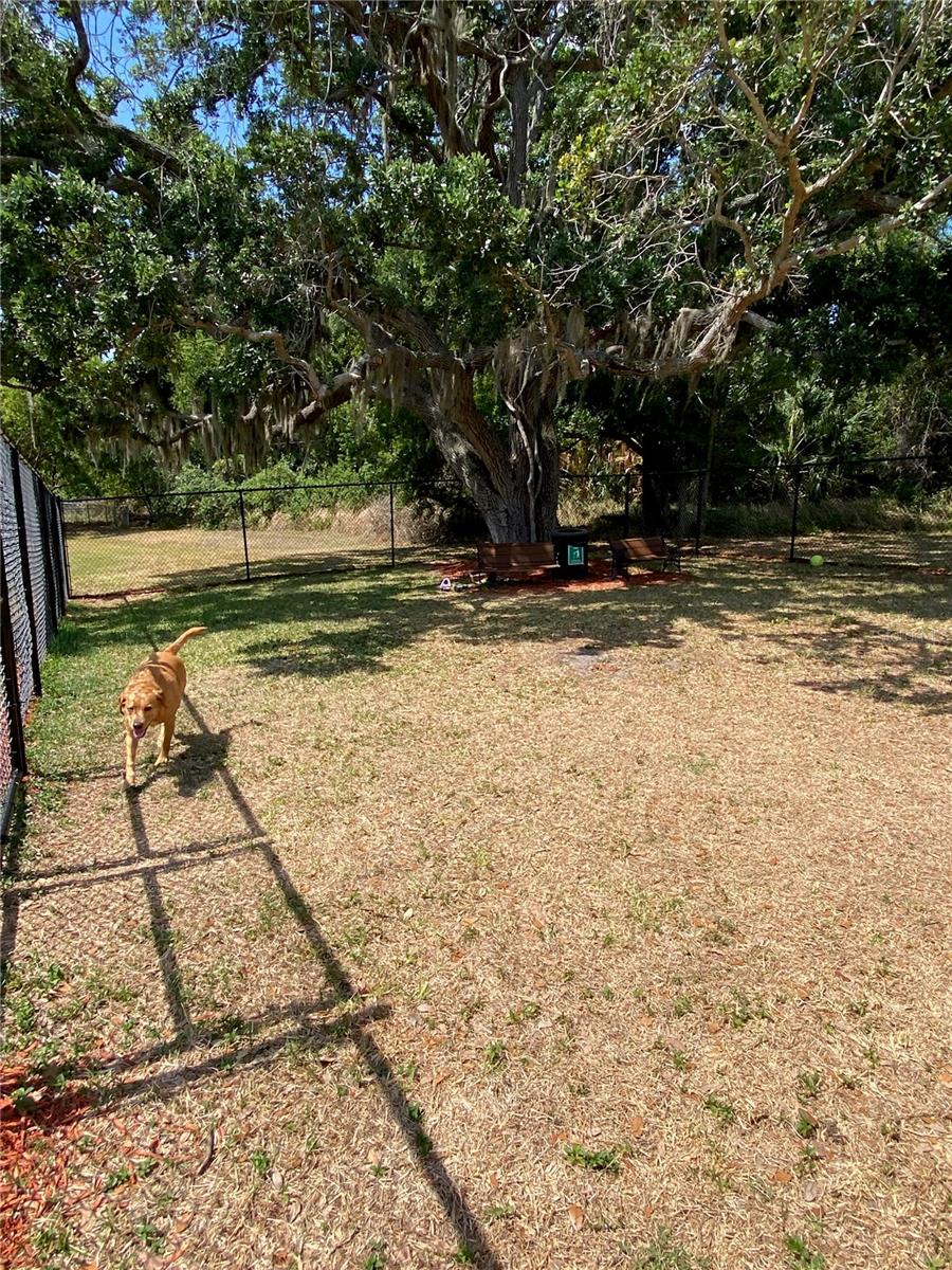 LAKE FANTASIA PLATTED SUB - Residential