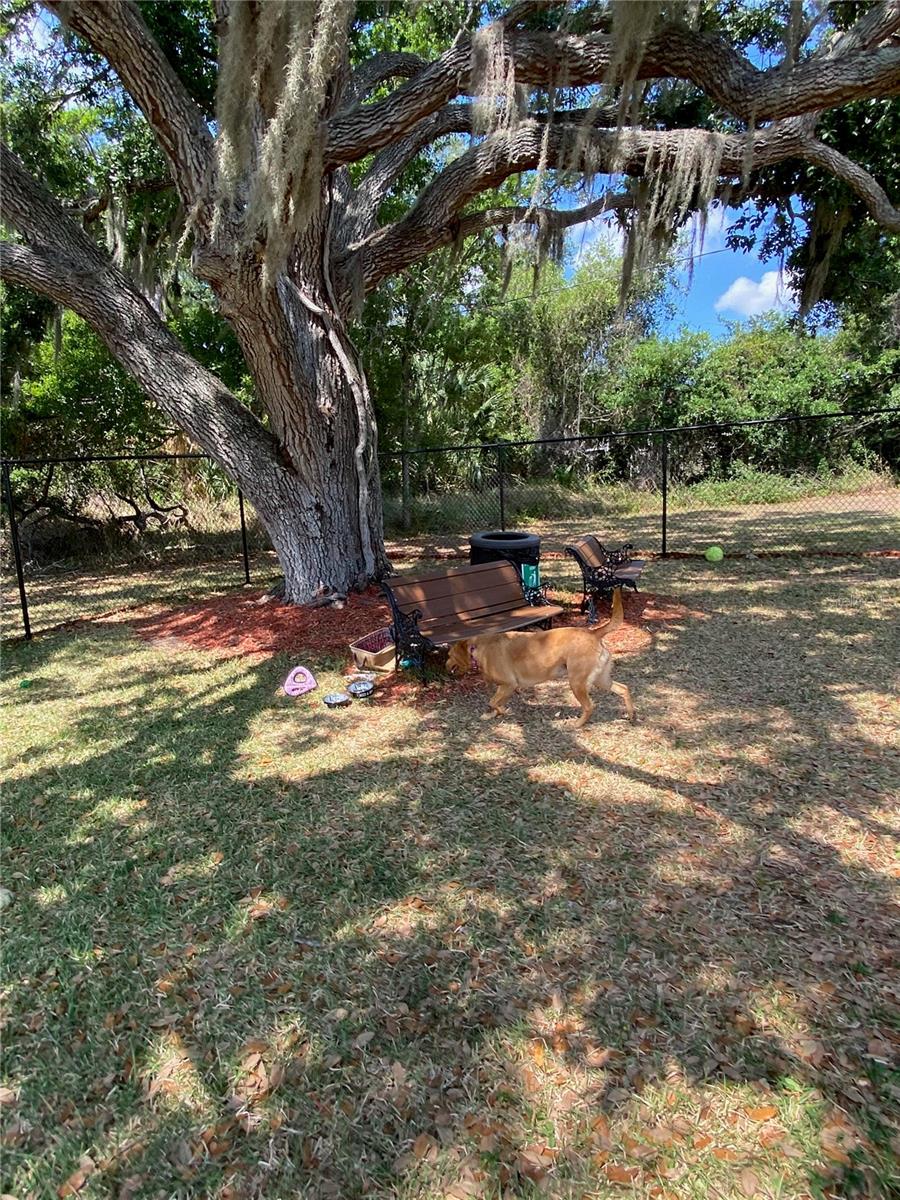 LAKE FANTASIA PLATTED SUB - Residential