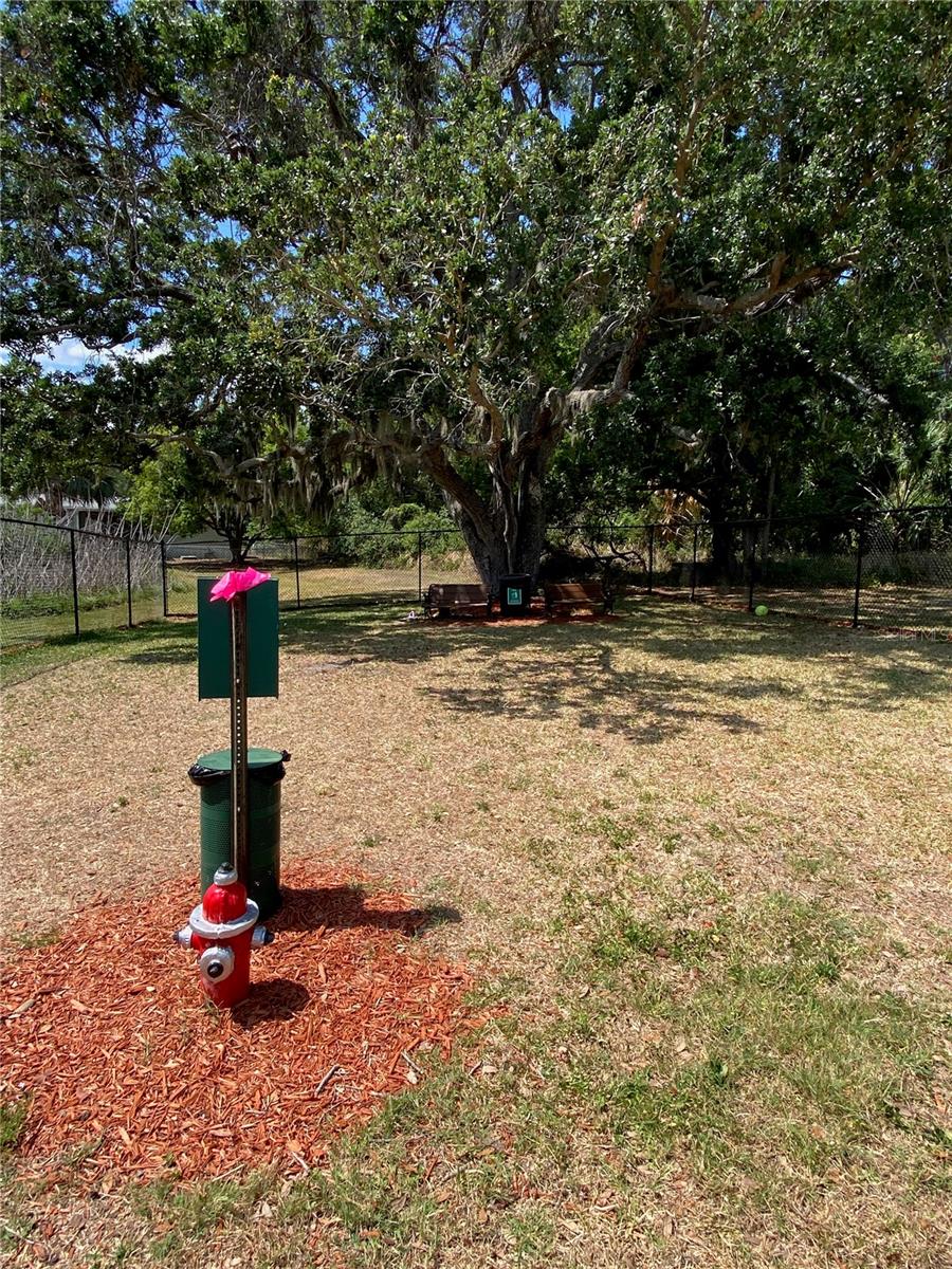 LAKE FANTASIA PLATTED SUB - Residential