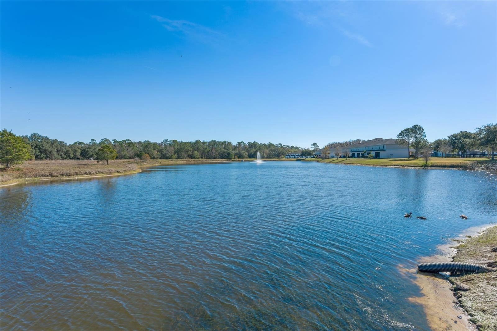 TRAFALGAR VILLAGE PH 3 - Residential