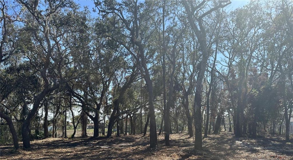 Photo of 8362 Eric Street, Spring Hill, FL 34608 (MLS # O6279628)