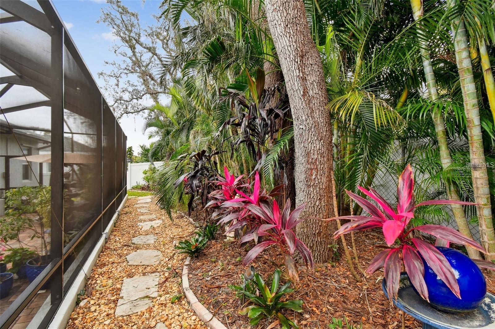 DUNEDIN COVE - Residential