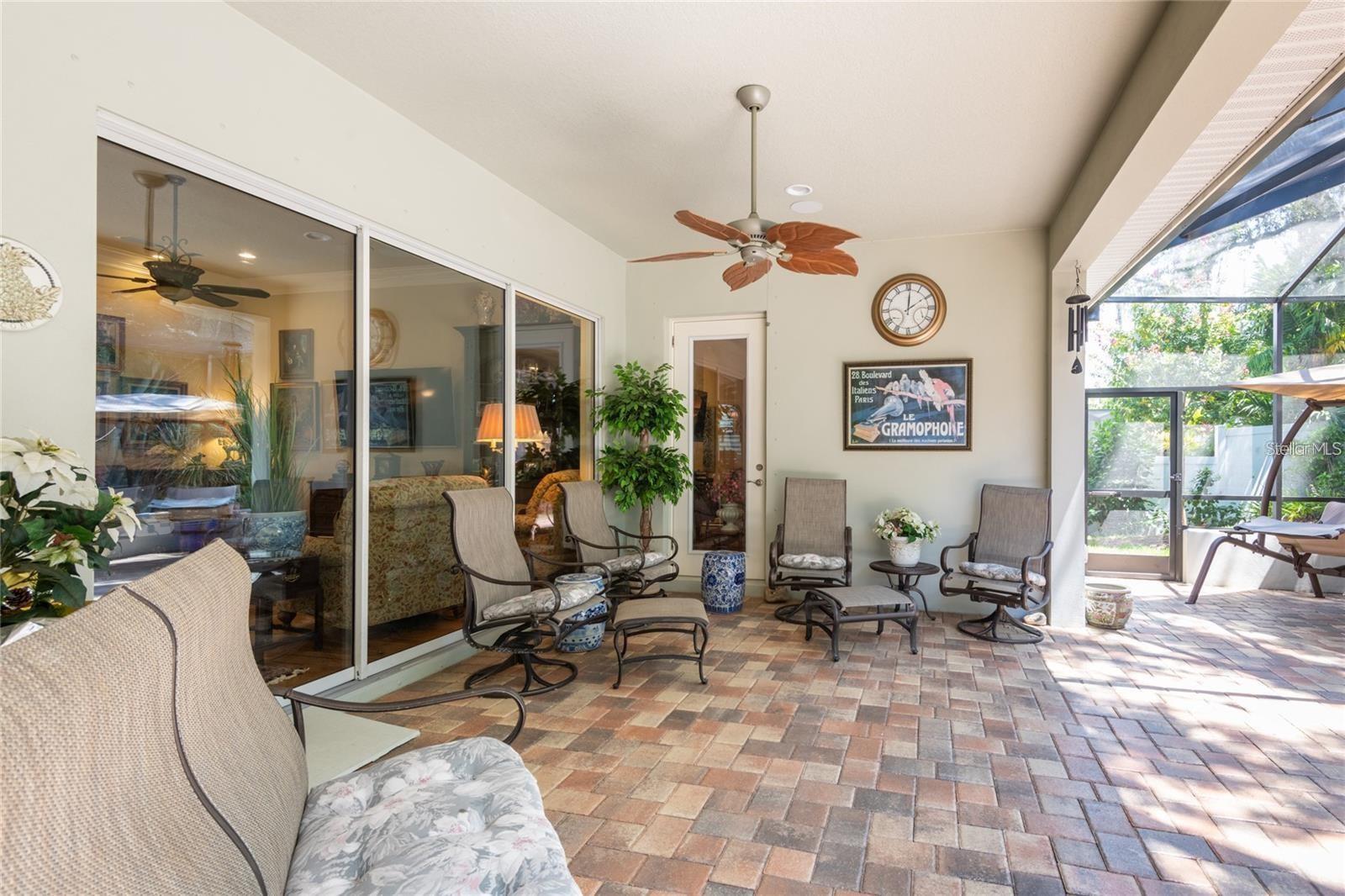 DUNEDIN COVE - Residential