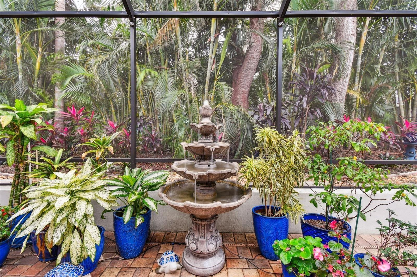 DUNEDIN COVE - Residential