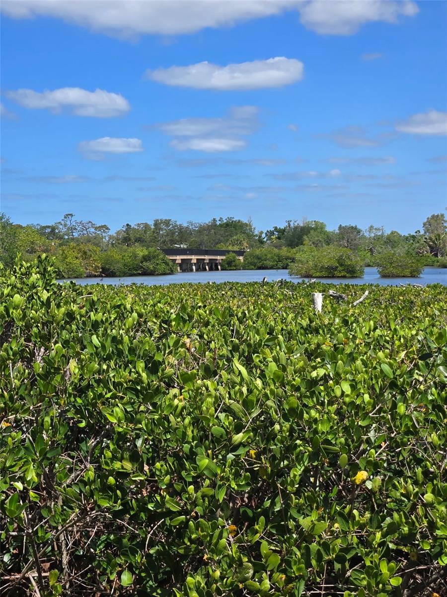 BIRD BAY II - Residential