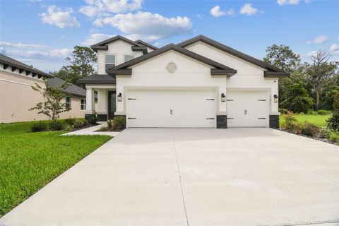 Photo of 11311 Striped Bass Court, New Port Richey, FL 34654 (MLS # TB8401065)