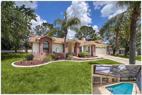 1280 THORNTON COURT SPRING HILL FL 34608