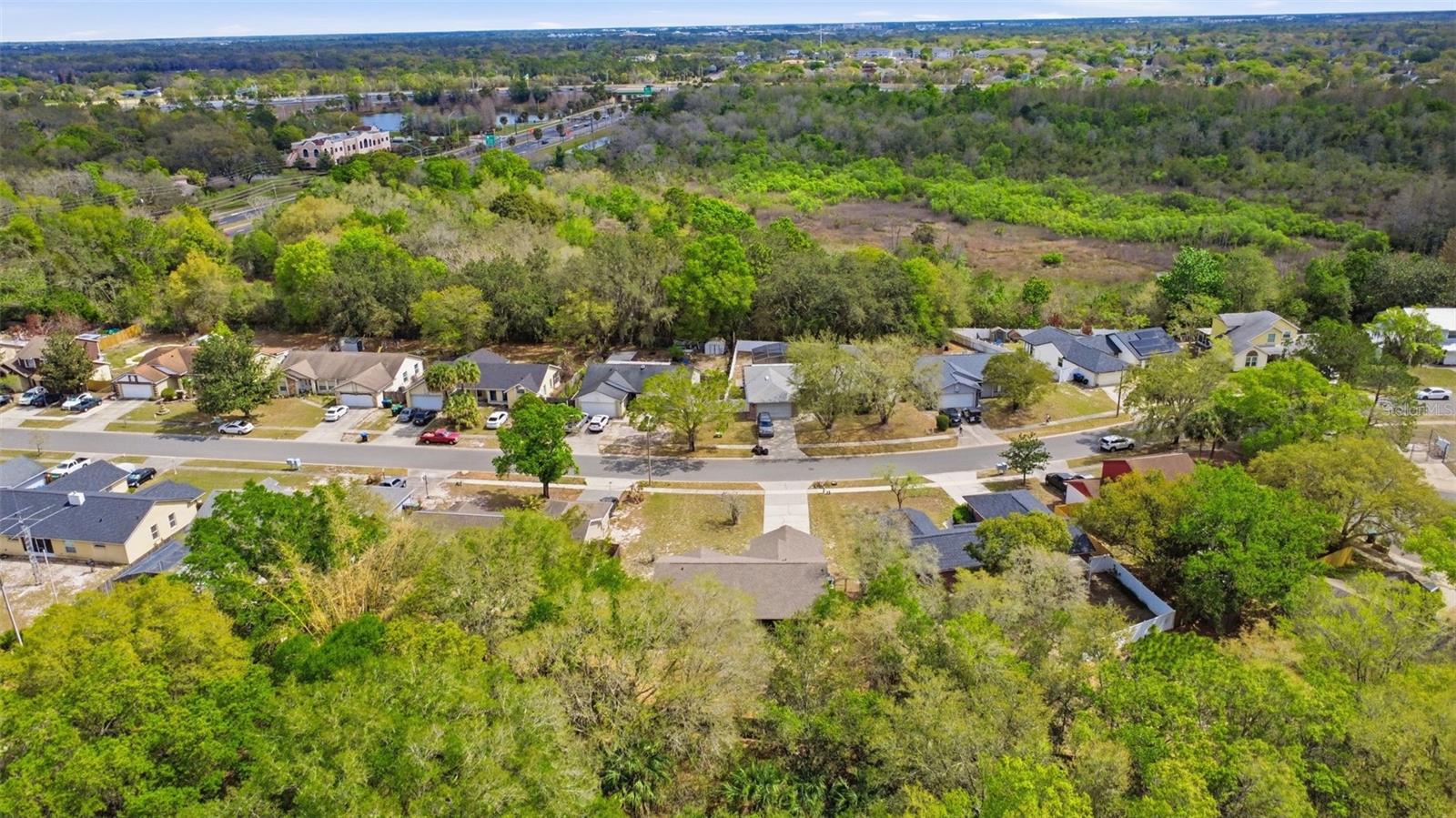 VALENCIA GROVE - Residential