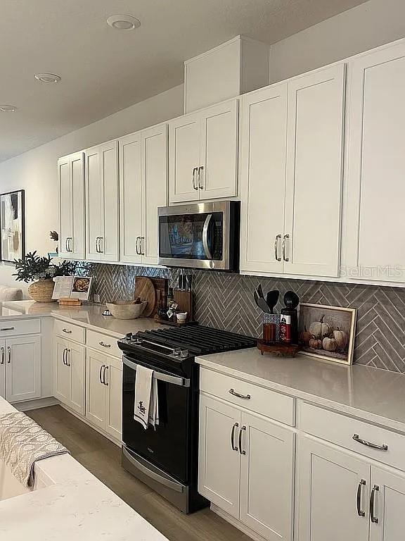 5936 GOLDEN NETTLE DRIVE, APOLLO BEACH, FL, 33572 3 5936 GOLDEN NETTLE DRIVE